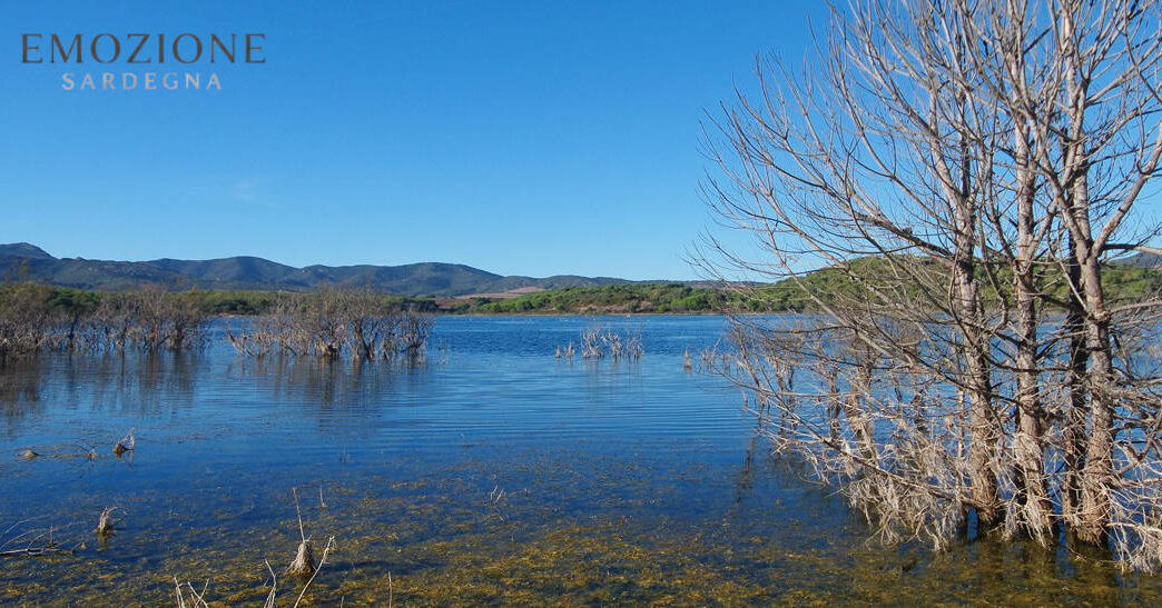 Emozione Sardegna, il lago di Baratz - Sassari