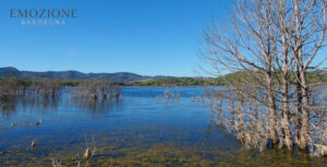 Emozione Sardegna, il lago di Baratz - Sassari