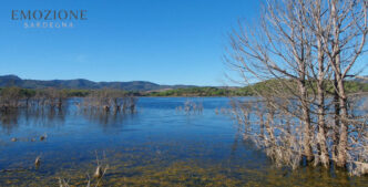 Emozione Sardegna, il lago di Baratz - Sassari