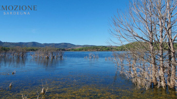 Emozione Sardegna, il lago di Baratz - Sassari
