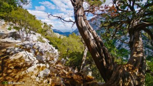 Emozione Sardegna, per strada verso il villaggio nuragico di Tiscali