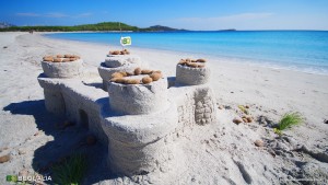 Bequalia Castle, Lu Impostu