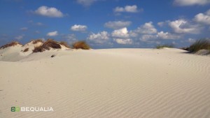Bequalia, le dune di Capo Comino, Siniscola