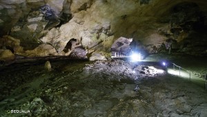 Grotta del Bue Marino
