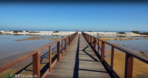 Spiaggia delle Saline, Stintino