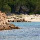 Coromorano in sosta all'isola di Spargi, tra Cala Soraya e Cala Granara