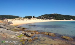 Spiaggia di Campana Dune, Chia - Sud Sardegna