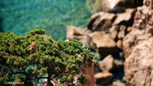 La Spiaggia di Li Cossi, Costa Paradiso