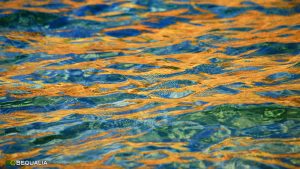 La Spiaggia di Li Cossi, Costa Paradiso