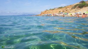 Spiaggia di Scivu, Costa Verde