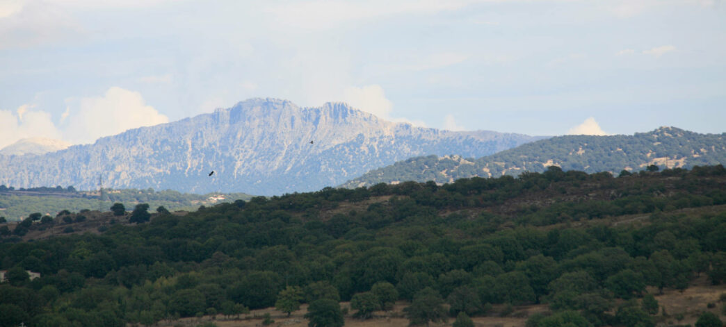 Emozione Sardegna, vista delle montagne di Fonni