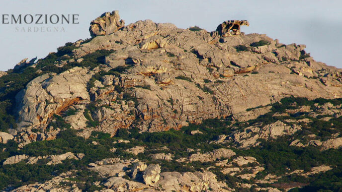 Emozione Sardegna, vista della Roccia dell'Orso - Palau