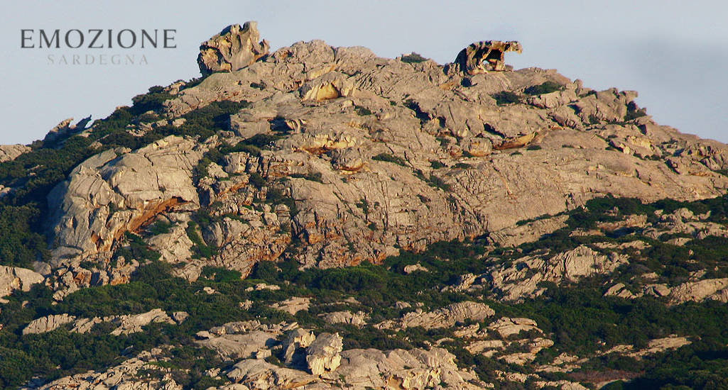 Emozione Sardegna, vista della Roccia dell'Orso - Palau