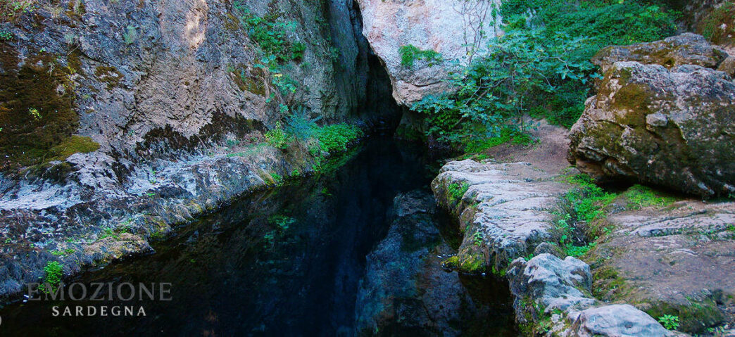 Emozione Sardegna - I Monumenti naturali della Sardegna: Sorgente carsica di Su Gologone, Oliena