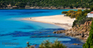 Emozione Sardegna, vista della spiaggia di Tuerredda - Teulada - Domus De Maria