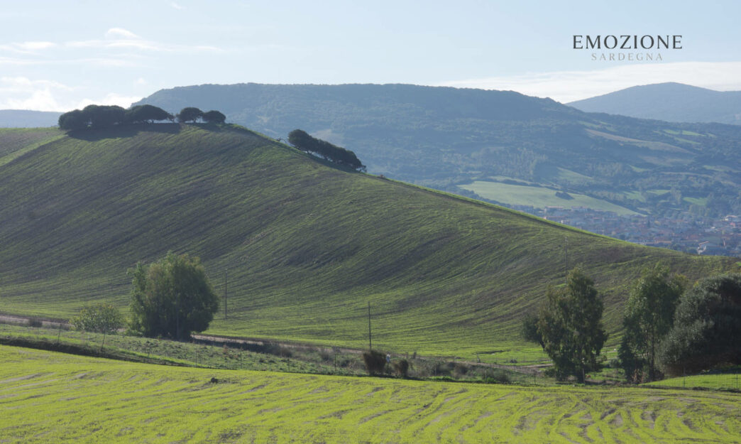 Emozione Sardegna, vista delle campagne nel centro Sardegna