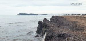 Posidonia al Poetto, perchè è una risorsa - Emozione Sardegna (foto RM)
